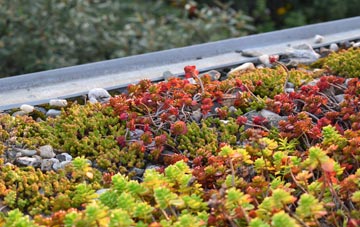 the cost of Blairhall green roof installation