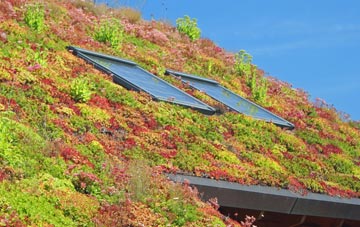 Blairhall living roof systems