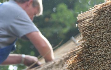 professional Blairhall thatchers